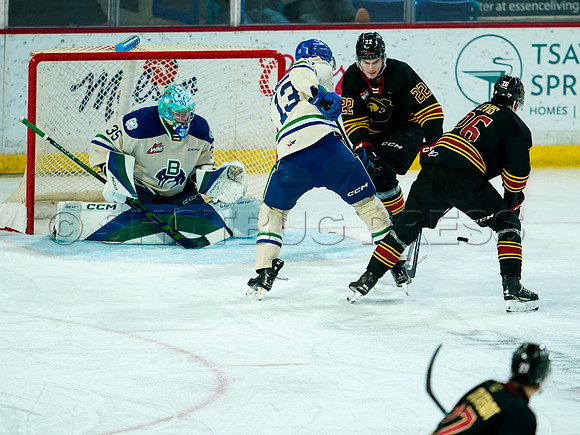 Wes Shaw Swift Current Broncos at Vancouver Giants 20250126 -279640