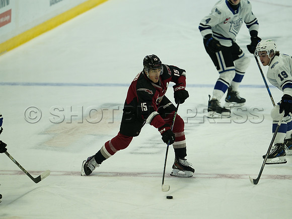 Wes Shaw Victoria Royals at Vancouver Giants  20250215 -282304