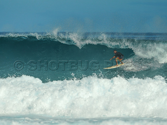 Wes Shaw Surfing 20240910 -216613