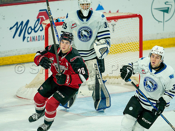 Wes Shaw Vancouver Giants make a 3rd period push to take the Wenantchee Wild 20250103 -276207