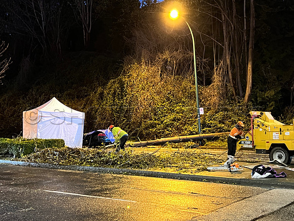 April 12, 2022 One dead after tree crashes on vehicle at Marine Way and River District Crossing in Vancouver