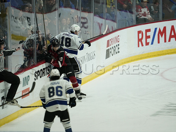 Wes Shaw Victoria Royals at Vancouver Giants  20250215 -282311