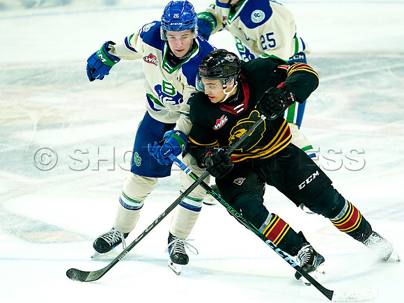 Wes Shaw Swift Current Broncos at Vancouver Giants 20250126 -279568