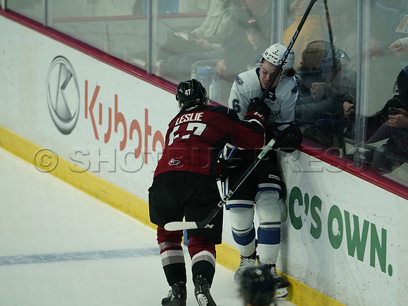 Wes Shaw Victoria Royals at Vancouver Giants  20250215 -282322