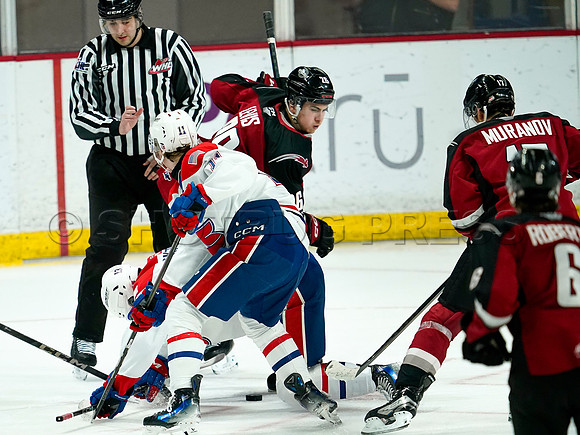 Wes Shaw- Spokane Chiefs at Vancouver Giants -282274