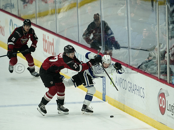 Wes Shaw Victoria Royals at Vancouver Giants  20250215 -282310