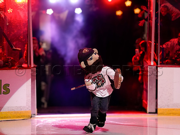 Wes Shaw Penticton Vees at the Vancouver Giants  20250920 -376949