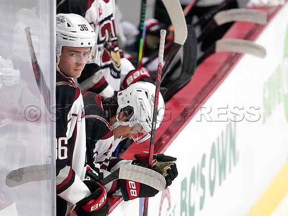 Wes Shaw Penticton Vees at the Vancouver Giants  20250920 -377691