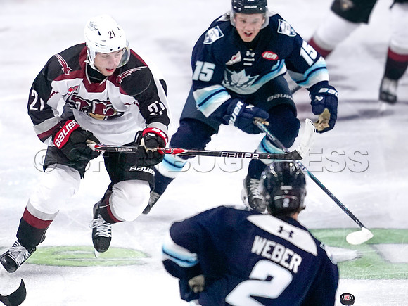 Wes Shaw Penticton Vees at the Vancouver Giants  20250920 -377721