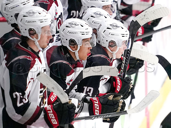 Wes Shaw Penticton Vees at the Vancouver Giants  20250920 -378214