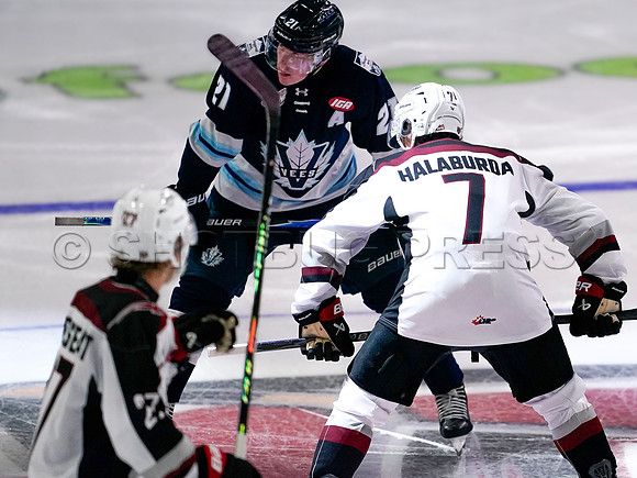 Wes Shaw Penticton Vees at the Vancouver Giants  20250920 -378215