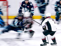 Wes Shaw Penticton Vees at the Vancouver Giants  20250920 -378291