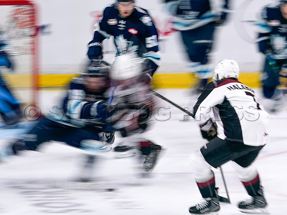 Wes Shaw Penticton Vees at the Vancouver Giants  20250920 -378291