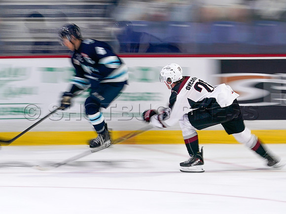 Wes Shaw Penticton Vees at the Vancouver Giants  20250920 -378648