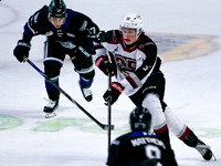 Victoria Royals fall to the Vancouver Giants 6-5 in OT at Langley Event Centre