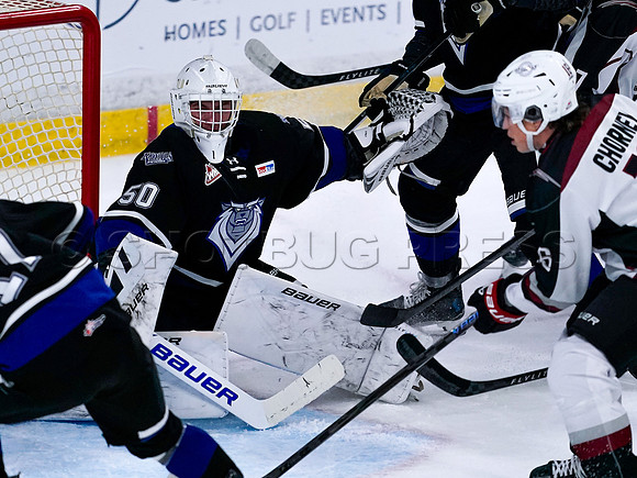 Victoria Royals fall to the Vancouver Giants 6-5 in OT at Langley Event Centre