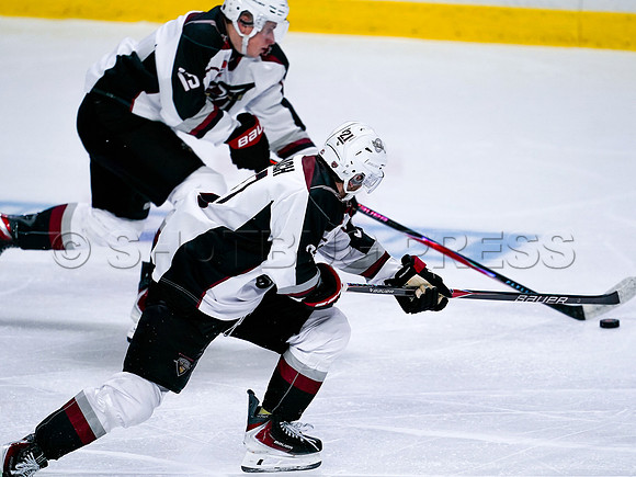 Victoria Royals fall to the Vancouver Giants 6-5 in OT at Langley Event Centre