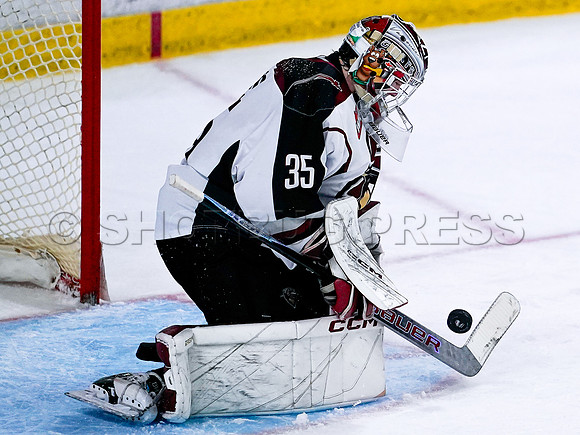 Victoria Royals fall to the Vancouver Giants 6-5 in OT at Langley Event Centre