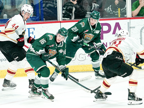 Wes Shaw Everett Silvertips skate circles around the Vancouver Giants 20241129 -254791