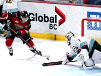 Wes Shaw-Portland Winterhawks at the Vancouver Giants-20251205-1414