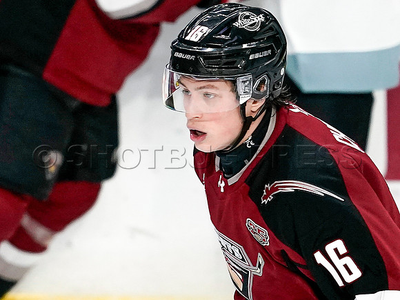 Wes Shaw-Portland Winterhawks at the Vancouver Giants-20251205-1678