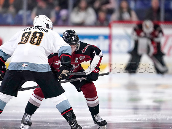 Wes Shaw-Portland Winterhawks at the Vancouver Giants-20251205-2071