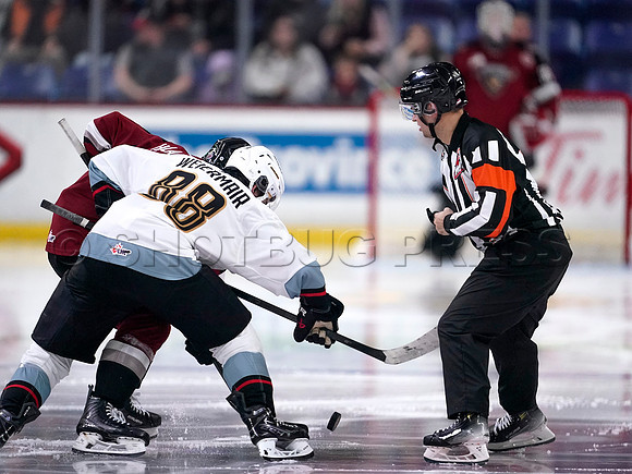 Wes Shaw-Portland Winterhawks at the Vancouver Giants-20251205-2075