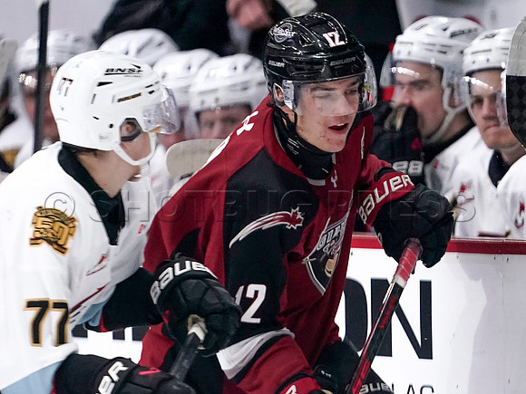 Wes Shaw-Portland Winterhawks at the Vancouver Giants-20251205-2527