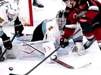 Dec 5, 2025 Portland Winterhawks at the Vancouver Giants