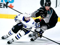 Wes Shaw-Wenanchee Wild at the Vancouver Giants-20260110-4902