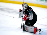 Wes Shaw-Wenanchee Wild at the Vancouver Giants-20260110-4543