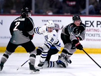 Wes Shaw-Wenanchee Wild at the Vancouver Giants-20260110-3812