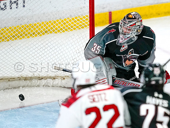 Wes Shaw-Prince George Cougars at the Vancouver Giants-20260118-6924