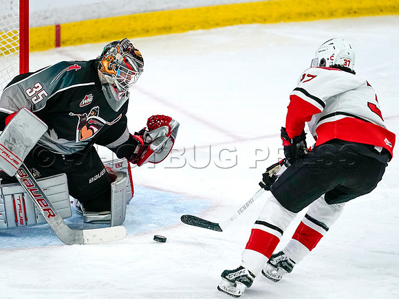 Wes Shaw-Prince George Cougars at the Vancouver Giants-20260118-6915