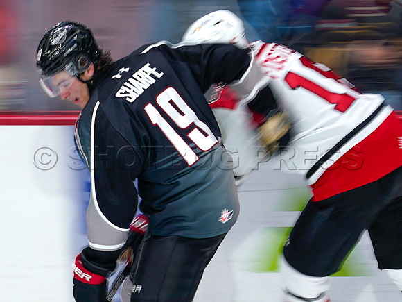 Wes Shaw-Prince George Cougars at the Vancouver Giants-20260118-7235