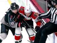January 18, 2026 Prince George Cougars at the Vancouver Giants