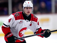 Wes Shaw-Prince George Cougars at the Vancouver Giants-20260118-7541
