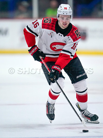 Wes Shaw-Prince George Cougars at the Vancouver Giants-20260118-7679