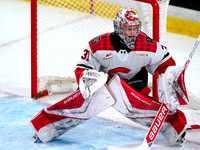 Wes Shaw-Prince George Cougars at the Vancouver Giants-20260118-8499
