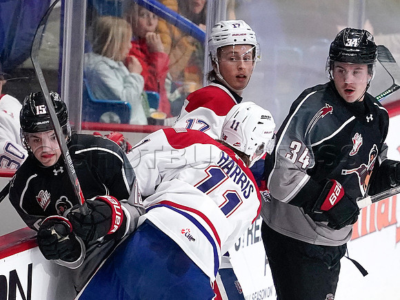 Wes Shaw-Spokane Chiefs at Vancouver Giants-20260206-13552