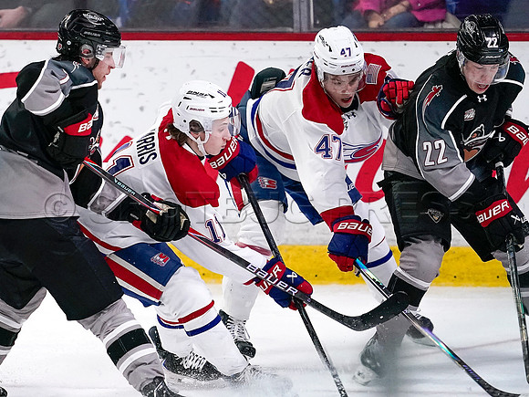 Wes Shaw-Spokane Chiefs at Vancouver Giants-20260206-13801