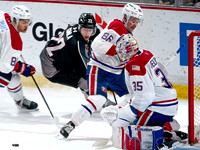 Wes Shaw-Spokane Chiefs at Vancouver Giants-20260206-14493