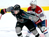 Wes Shaw-Spokane Chiefs at Vancouver Giants-20260206-15178