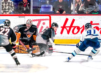 Wes Shaw-Penticton Vees at Vancouver Giants-20260213-16814