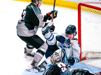 Feb 13, 2026 Penticton Vees at the Vancouver Giants