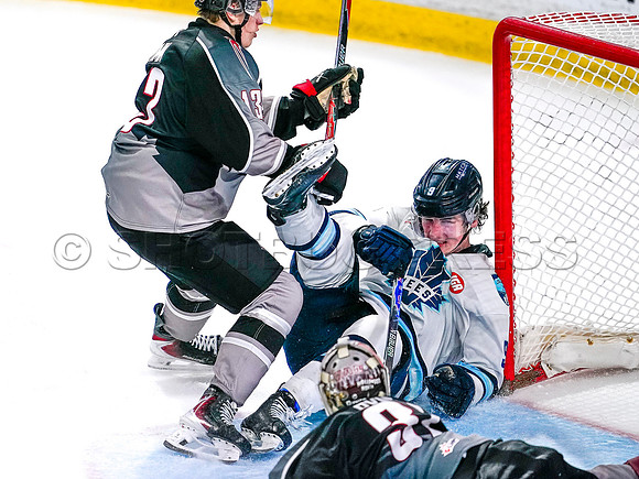 Wes Shaw-Penticton Vees at Vancouver Giants-20260213-17071