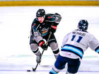 Wes Shaw-Penticton Vees at Vancouver Giants-20260213-16850