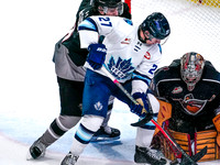 Wes Shaw-Penticton Vees at Vancouver Giants-20260213-17041