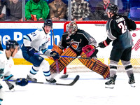 Wes Shaw-Penticton Vees at Vancouver Giants-20260213-16700