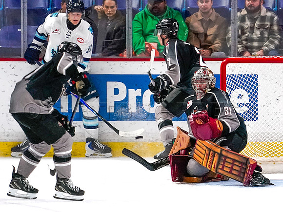 Wes Shaw-Penticton Vees at Vancouver Giants-20260213-16679